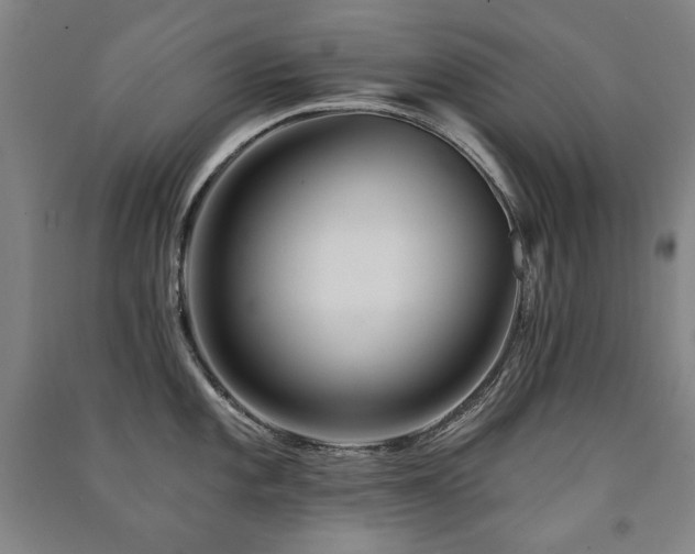 X0000091461101200708161517