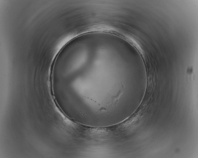 X0000091461103200708161517