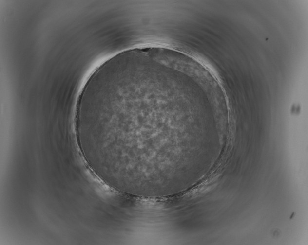 X0000091461104200708161517