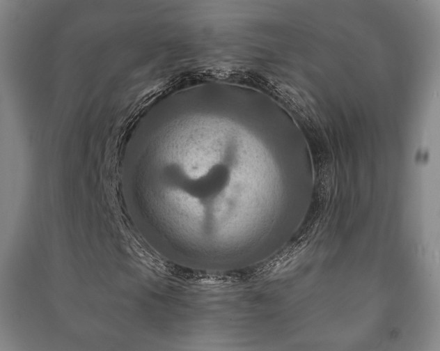 X0000091461105200708161517