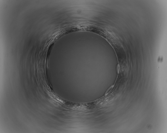 X0000091461106200708161517