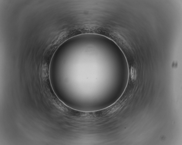 X0000091461107200708161517