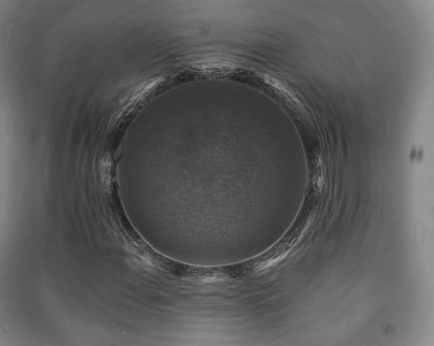 X0000091461108200708161517