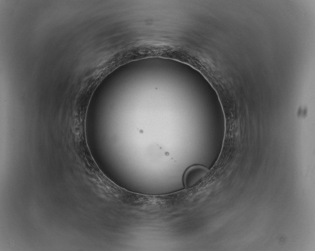 X0000091461109200708161517