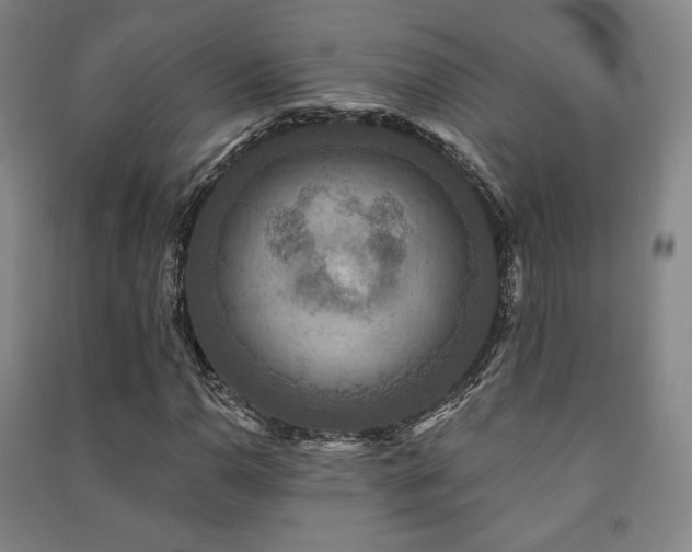 X0000091461110200708161517