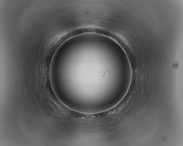X0000091461111200708161517