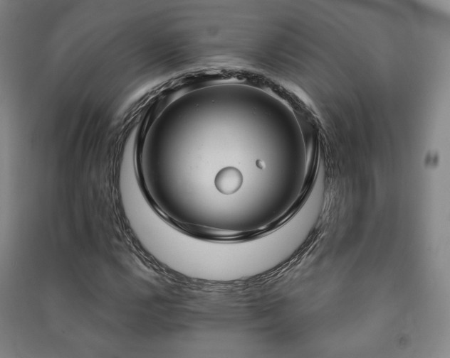 X0000091461112200708161517