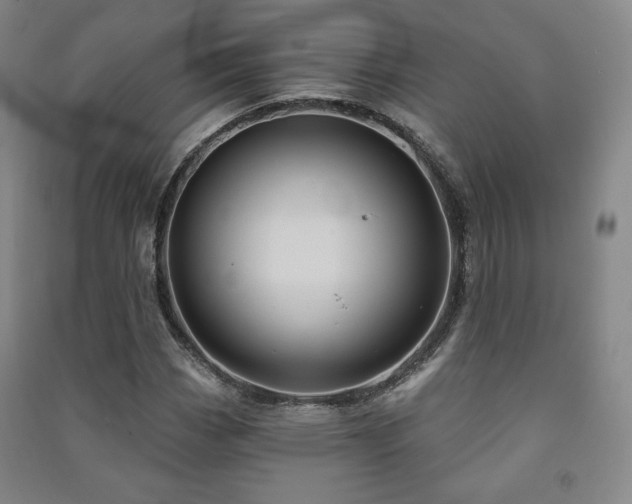 X0000091461113200708161517