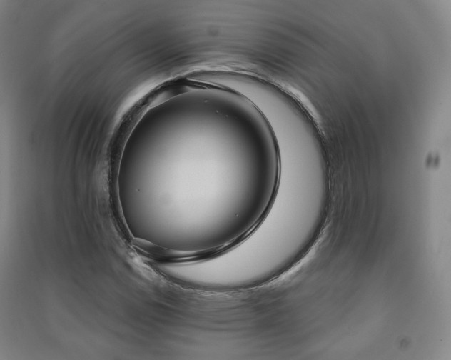 X0000091461114200708161517