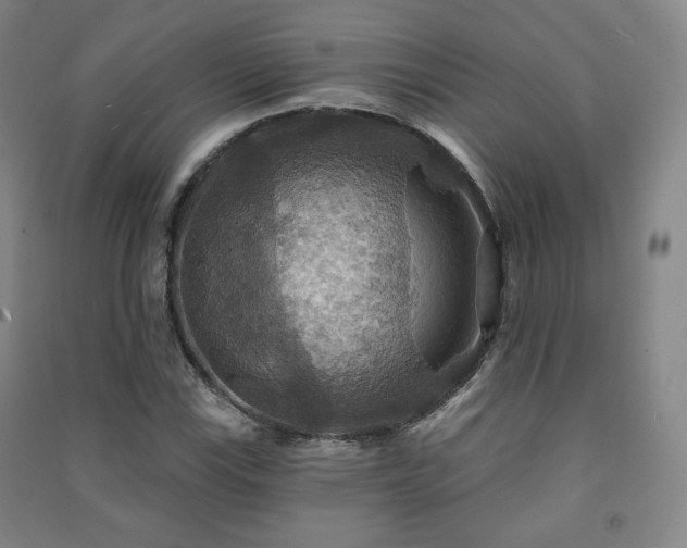 X0000091461115200708161517