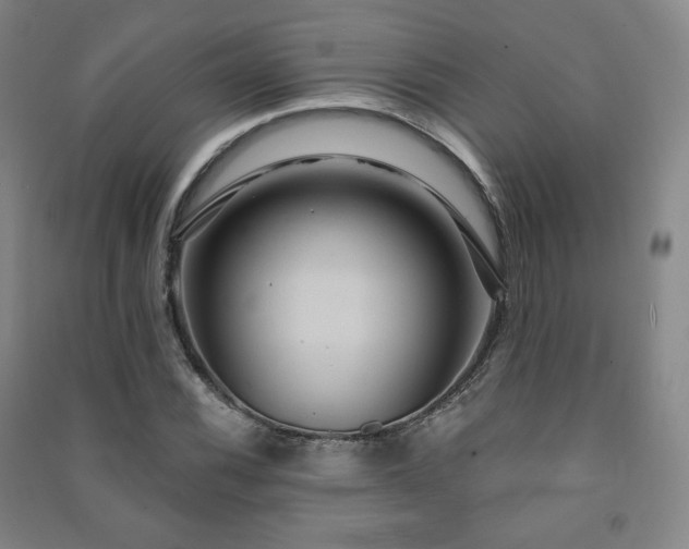 X0000091461116200708161517