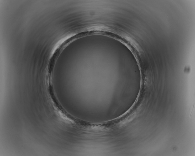 X0000091461117200708161517