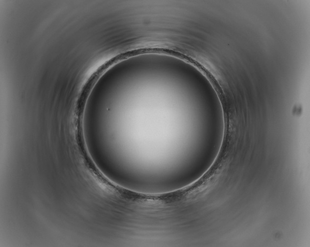 X0000091461119200708161517