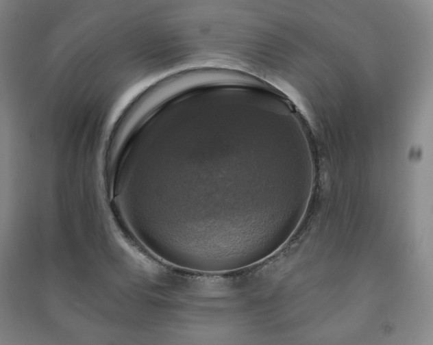 X0000091461120200708161517