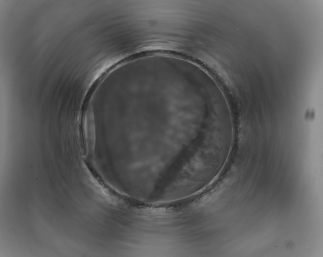 X0000091461121200708161517