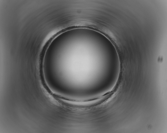 X0000091461122200708161517