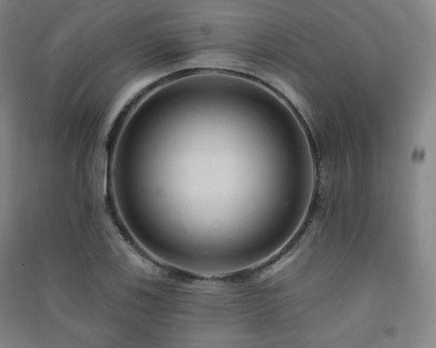 X0000091461123200708161517