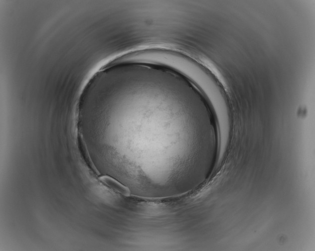 X0000091461124200708161517