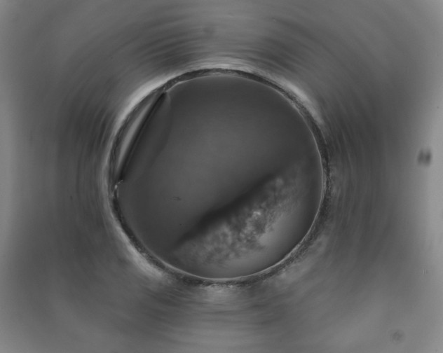 X0000091461125200708161517