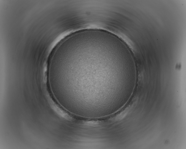 X0000091461126200708161517