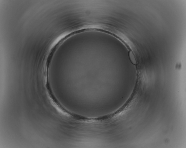 X0000091461127200708161517