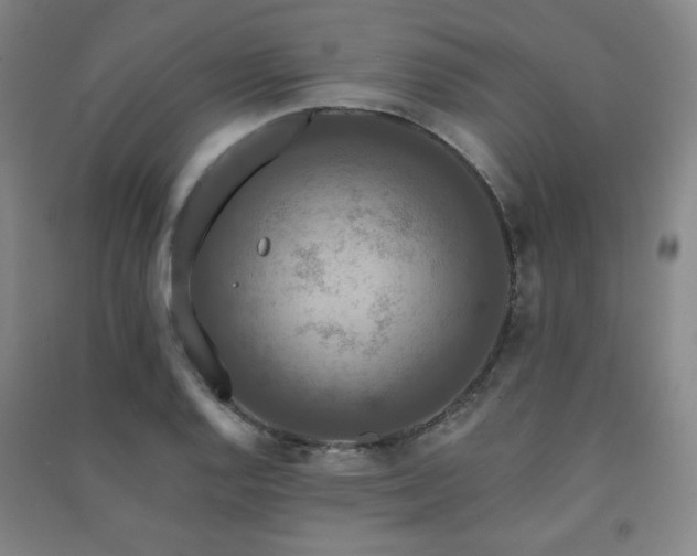 X0000091461128200708161517