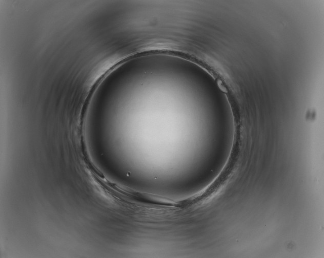 X0000091461129200708161517