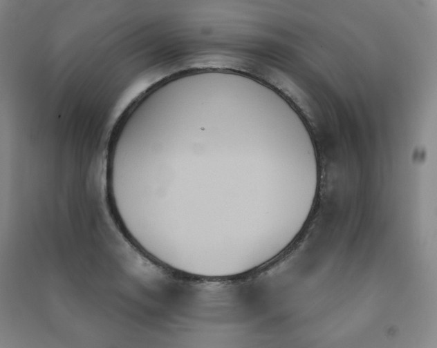 X0000091461130200708161517