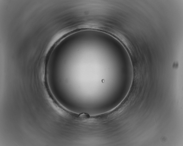 X0000091461131200708161517