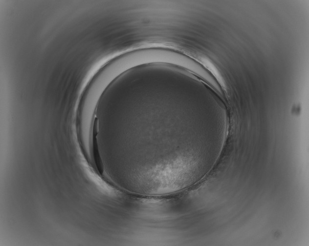 X0000091461132200708161517