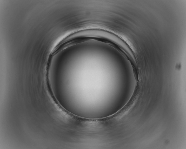 X0000091461134200708161517