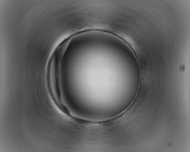 X0000091461135200708161517