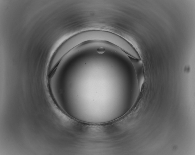 X0000091461136200708161517