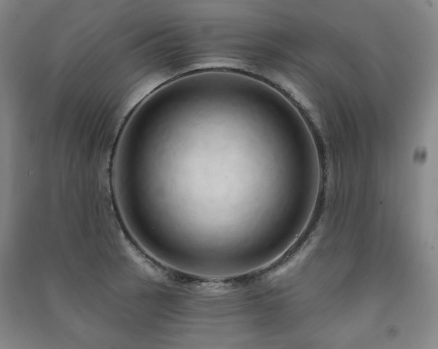 X0000091461137200708161517