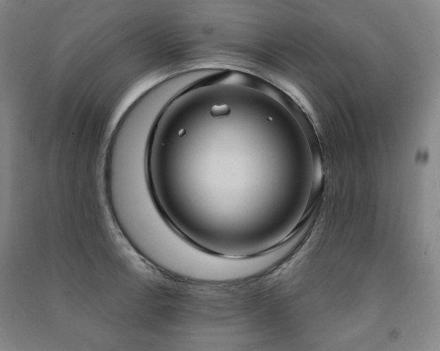 X0000091461138200708161517
