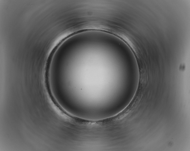 X0000091461139200708161517