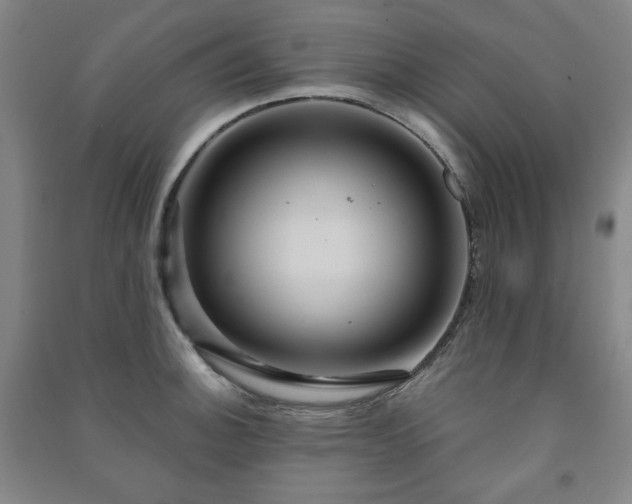 X0000091461140200708161517
