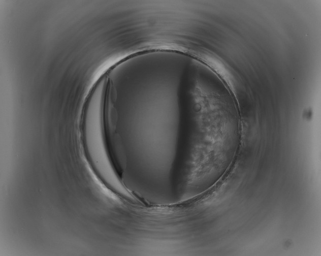 X0000091461141200708161517