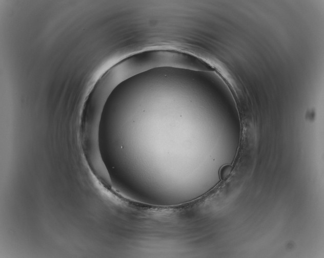 X0000091461143200708161517
