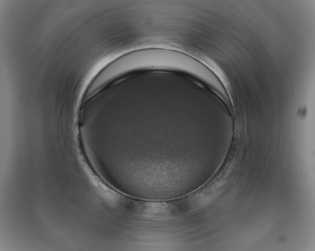 X0000091461144200708161517