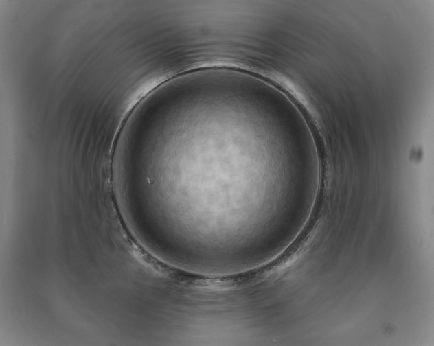 X0000091461145200708161517