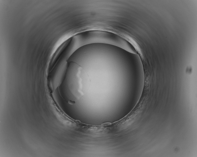 X0000091461146200708161517