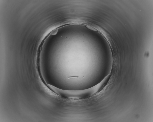 X0000091461147200708161517