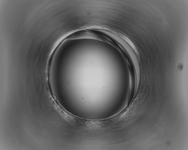 X0000091461148200708161517