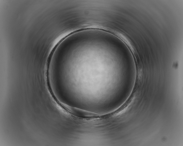 X0000091461149200708161517