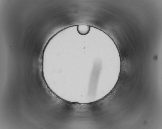 X0000091461150200708161517