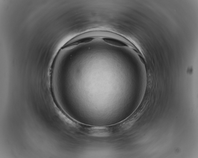 X0000091461151200708161517
