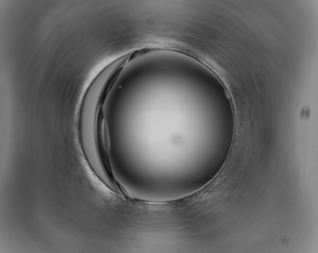 X0000091461152200708161517
