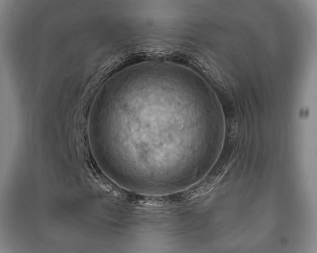 X0000091461153200708161517