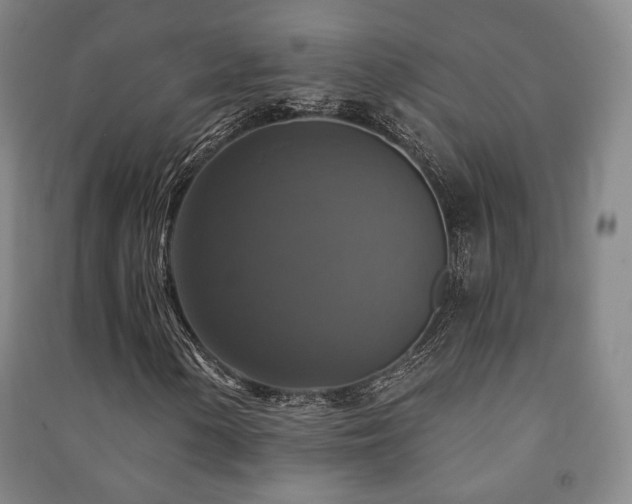 X0000091461154200708161517